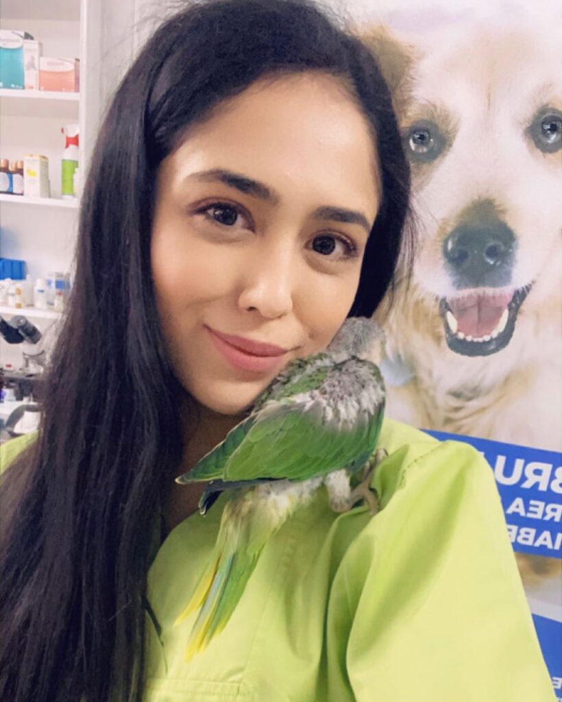 Joyvet – Cabinet Veterinar Sector 3