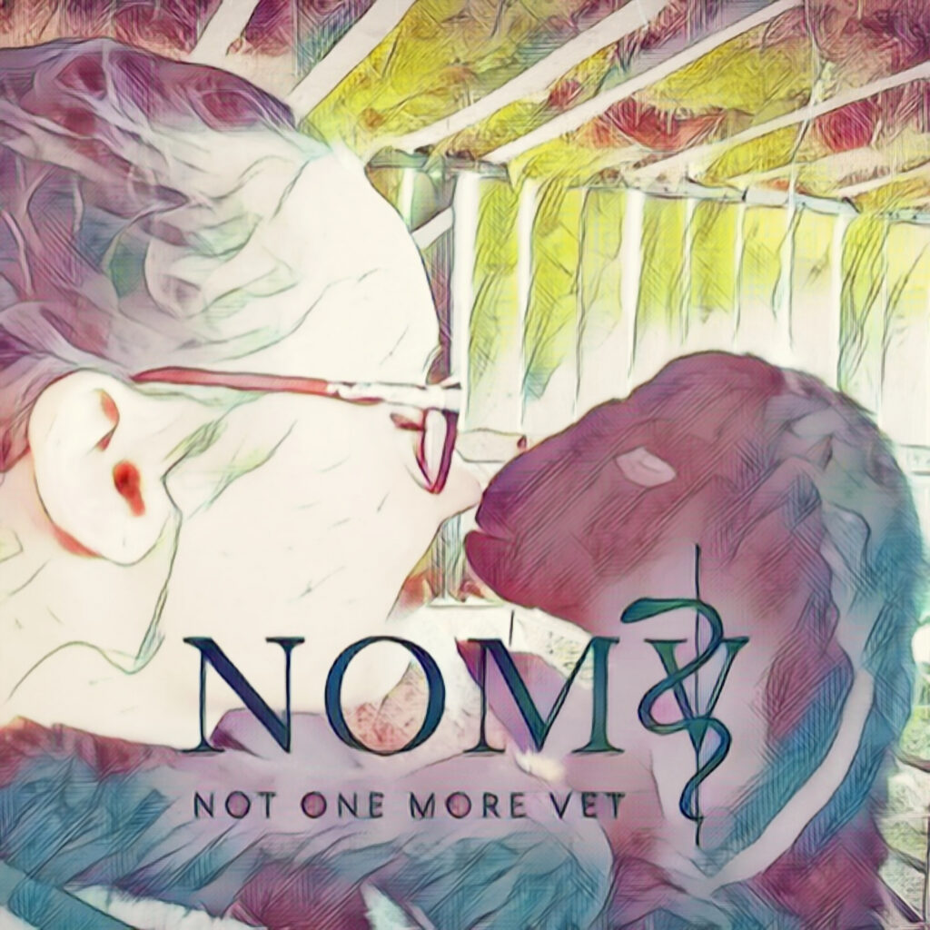 Joyvet – Cabinet Veterinar Sector 3