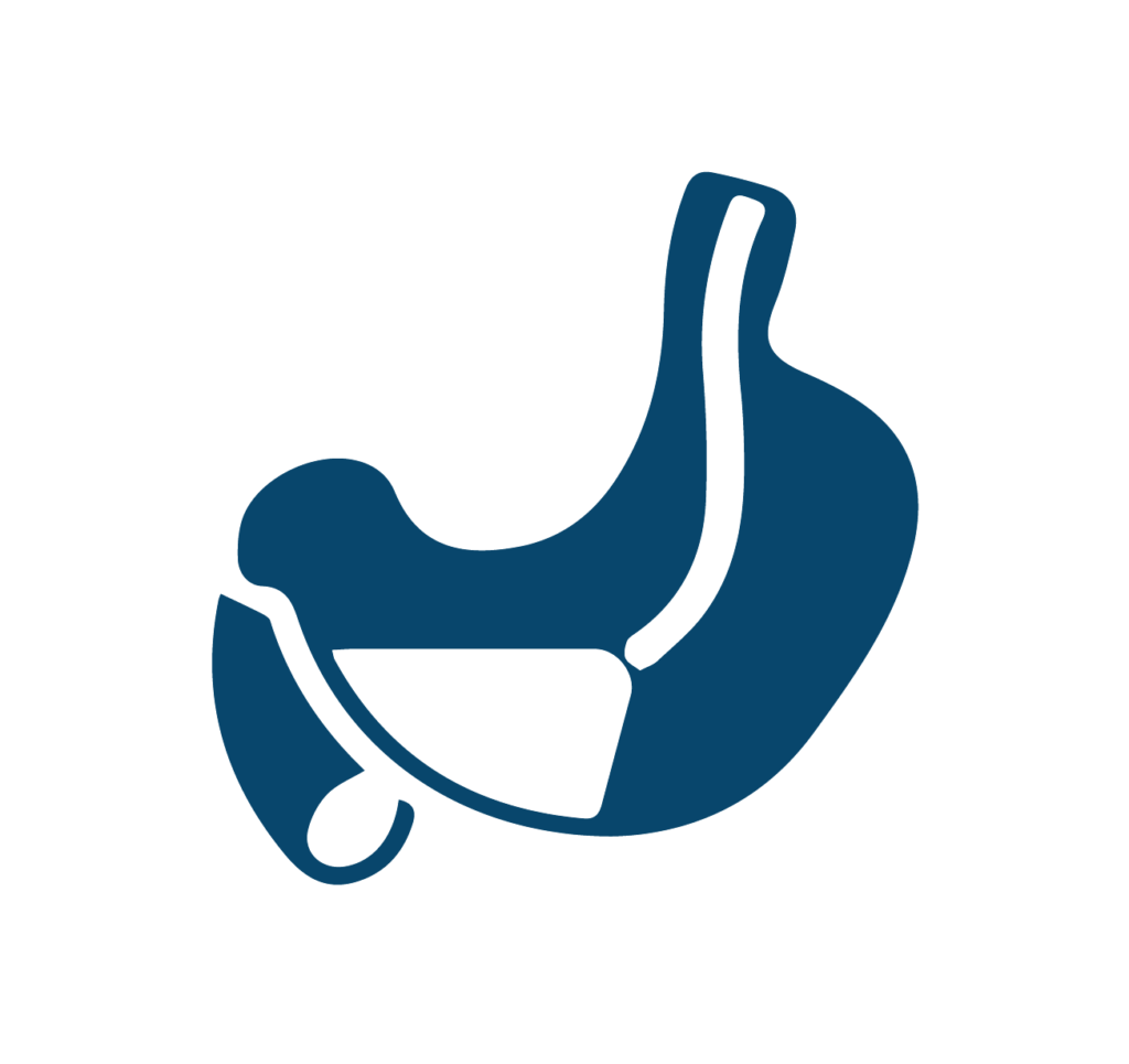 Joyvet – Cabinet Veterinar Sector 3