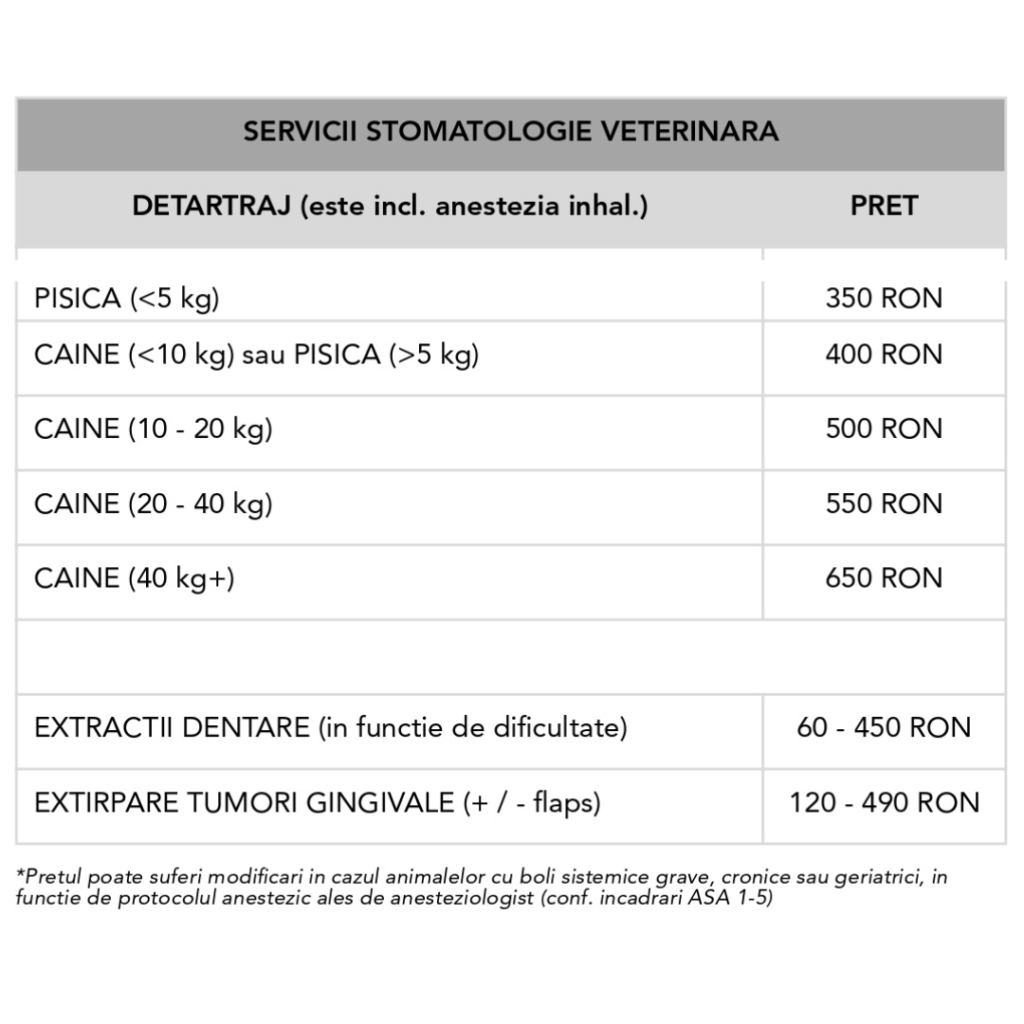 Joyvet – Cabinet Veterinar Sector 3