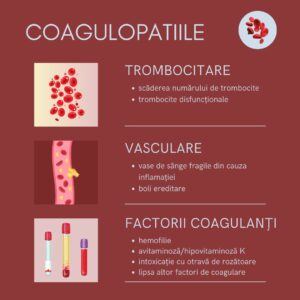 probleme coagulare caine pisica