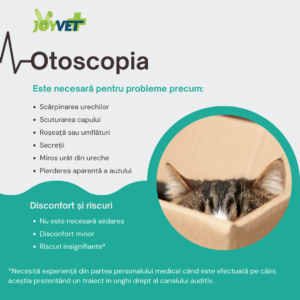 otoscopie caini pisici