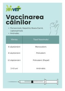 vaccinare caine