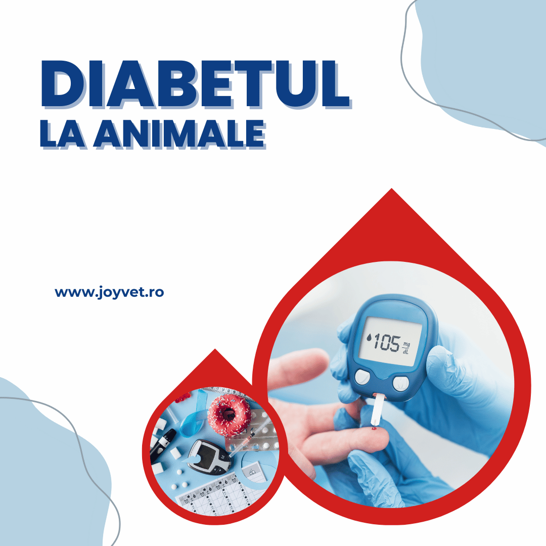 diabet animale caini pisici glicemie