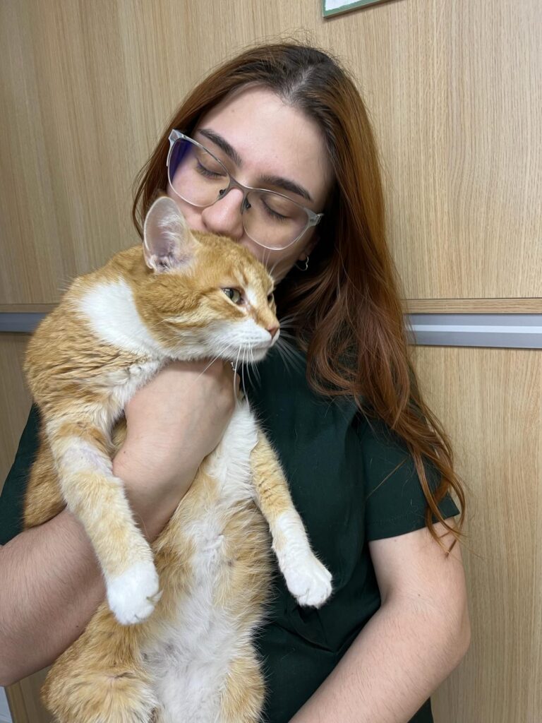 Joyvet – Cabinet Veterinar Sector 3