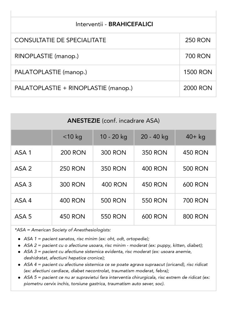 Joyvet – Cabinet Veterinar Sector 3