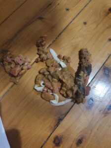 pisica regurgiteaza viermi