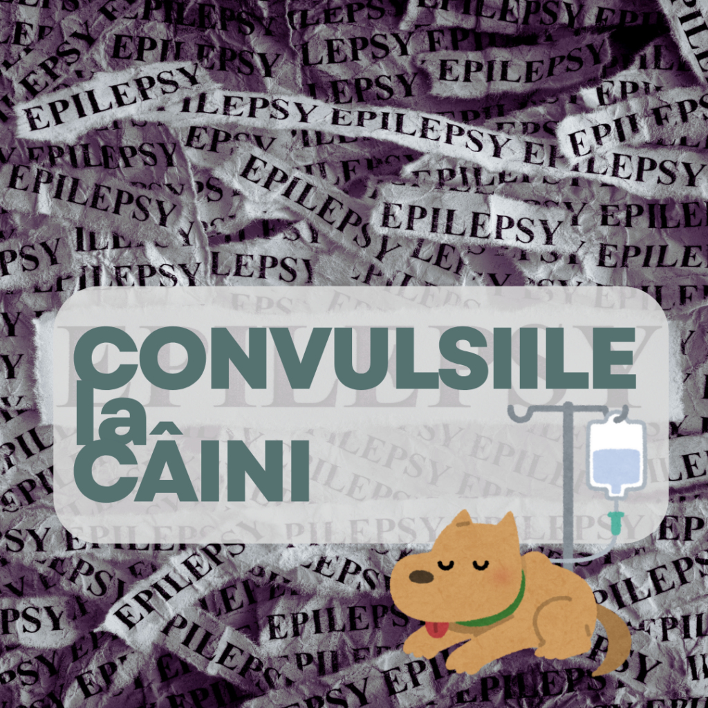 CONVULSIILE la CÂINI