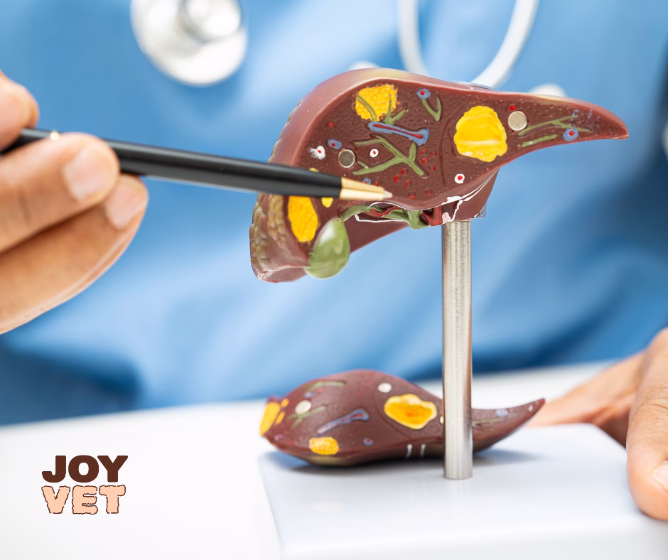 got crescut la caini