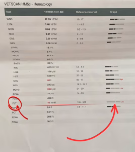 trombocitopenia la caine