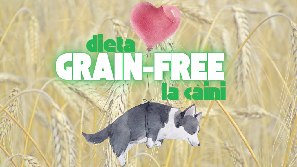 dieta grain free la caini