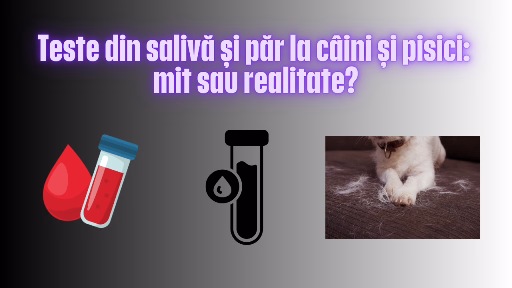 teste din saliva si par la caini si pisici