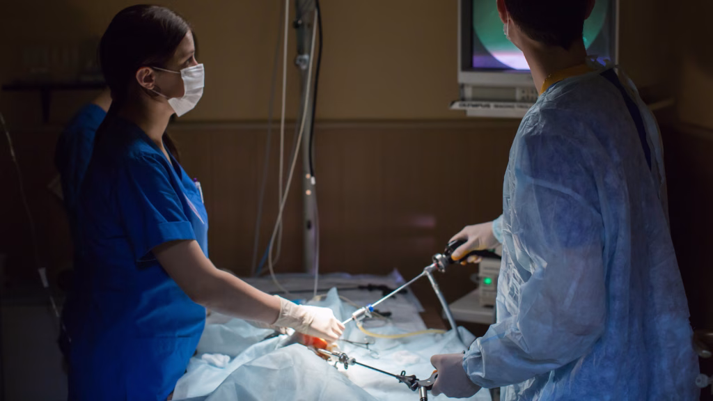 endoscopie pisica vomita