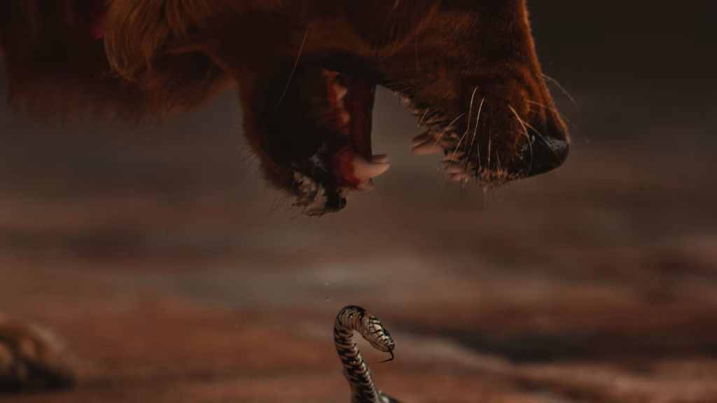 muscatura de vipere caini