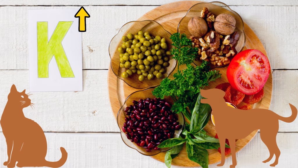 potasiu crescut la caini si pisici