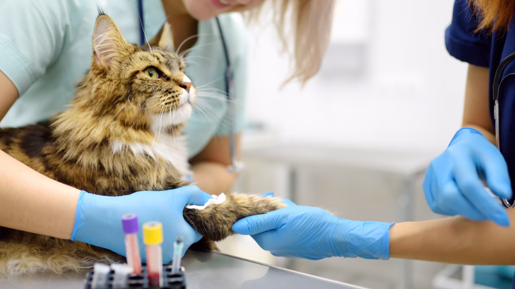 analize veterinare bucuresti