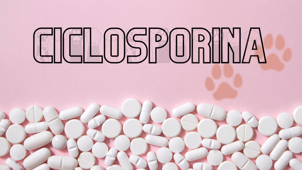 ciclosporina caini pisici