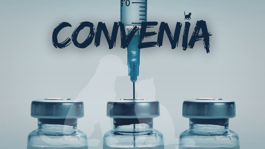 convenia infectii caini pisici