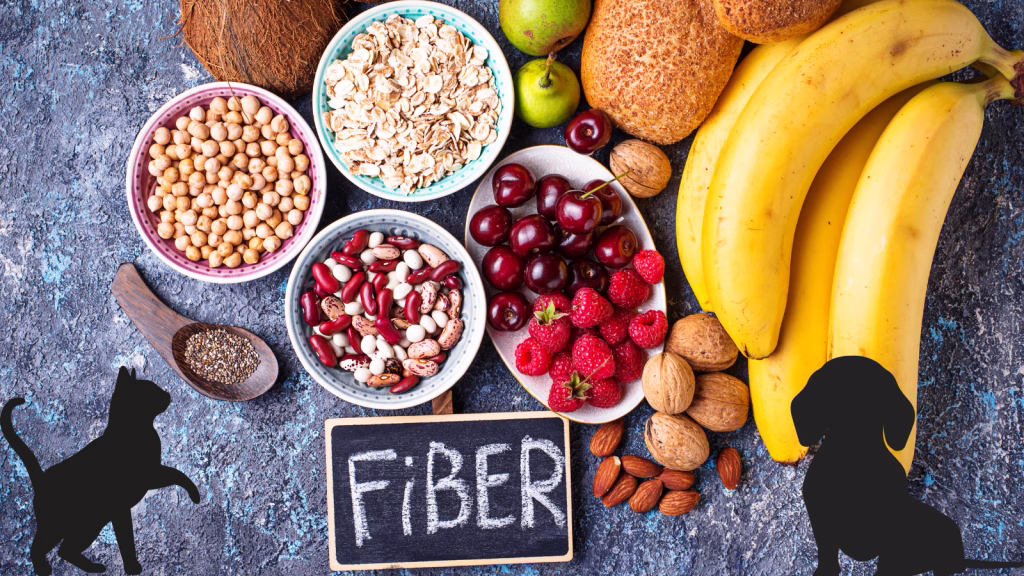 fibre la caini si pisici